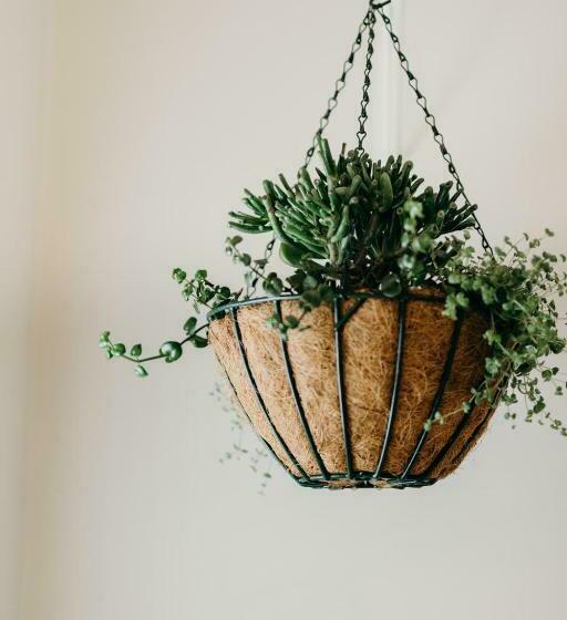 Номер Стандарт, Cottage Pie By Robberg