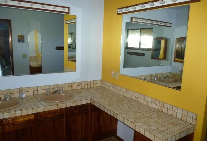 غرفة قياسية سرير كينج, A Beautiful Edge Of The World Bed & Breakfast