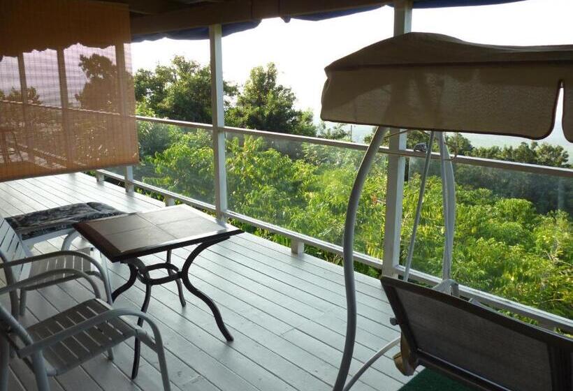 غرفة قياسية سرير كينج, A Beautiful Edge Of The World Bed & Breakfast