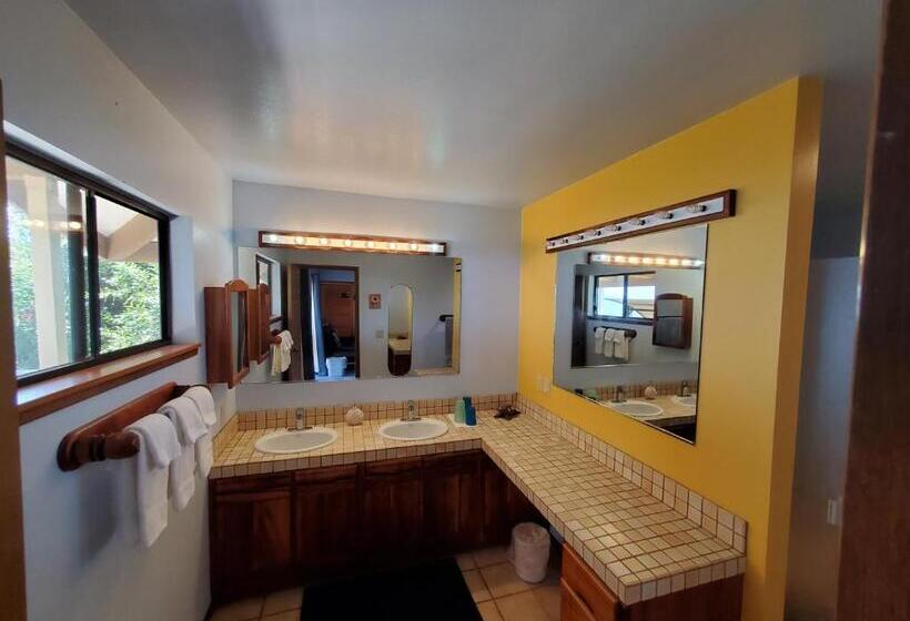 غرفة قياسية سرير كينج, A Beautiful Edge Of The World Bed & Breakfast