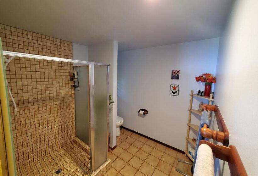 غرفة قياسية سرير كينج, A Beautiful Edge Of The World Bed & Breakfast