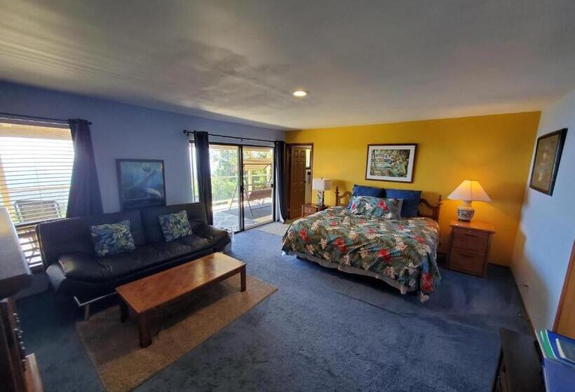 غرفة قياسية سرير كينج, A Beautiful Edge Of The World Bed & Breakfast