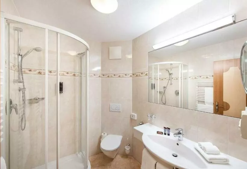 اتاق استاندارد, Alpenland Gerlos   Hotel & Breakfast