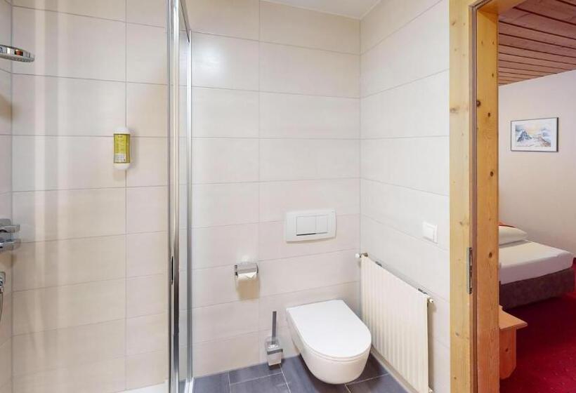 スタンダードルーム, Pension Haid