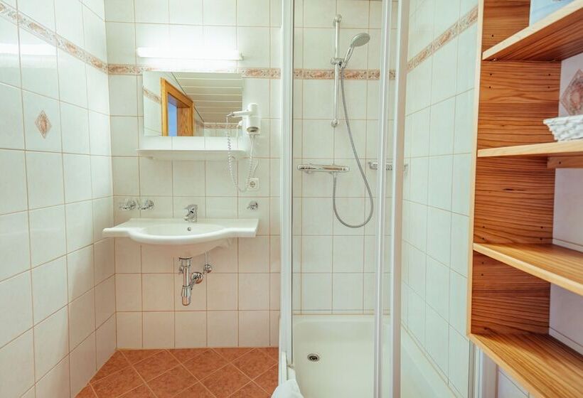 스탠다드 룸, Gesser