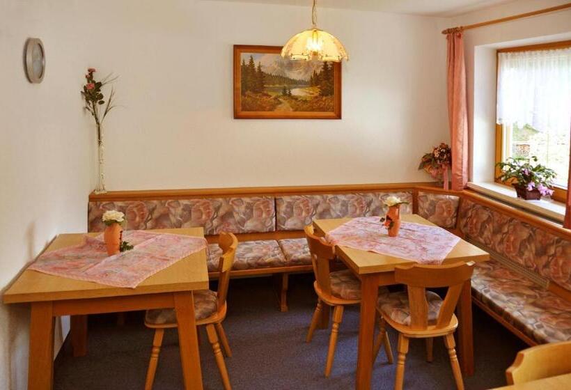 스탠다드 발코니 룸, Haus Alpenruh