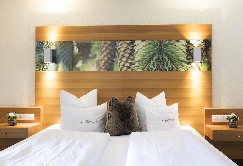 سوییت با چشم‌انداز کوه, Sonnblick