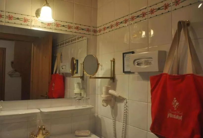 Standard Room, Romantikhotel Almtalhof