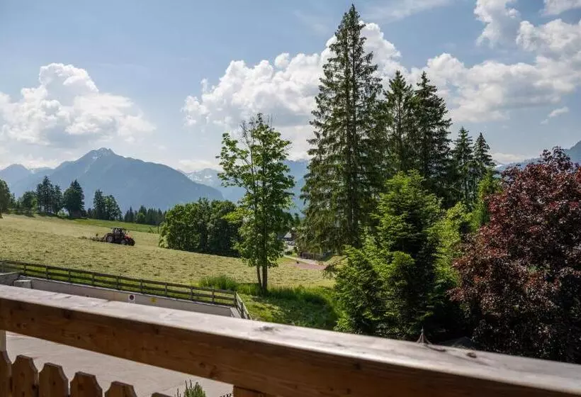 １ベッドルームのデラックスアパートメント, Alpin Residenz Dachsteinperle