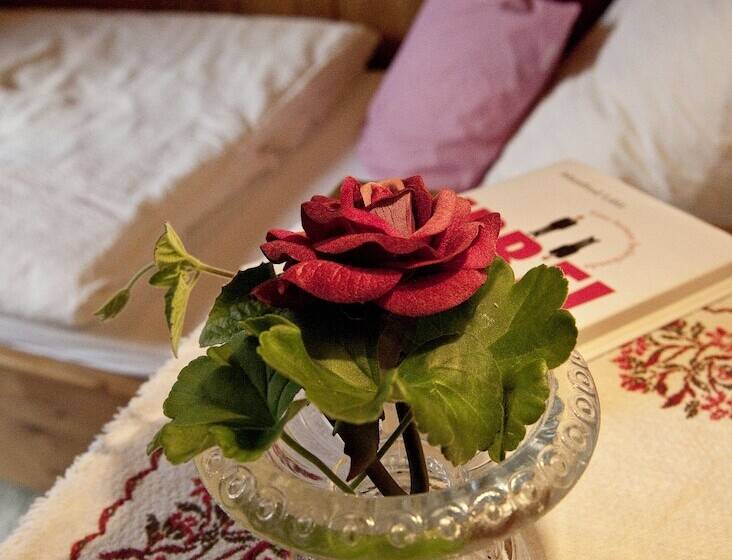 스탠다드 싱글 룸, Brugger Apart