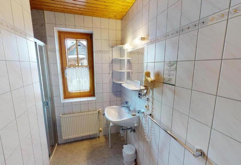 شقة غرفة واحدة ذات إطلالة, Berghotel Presslauer