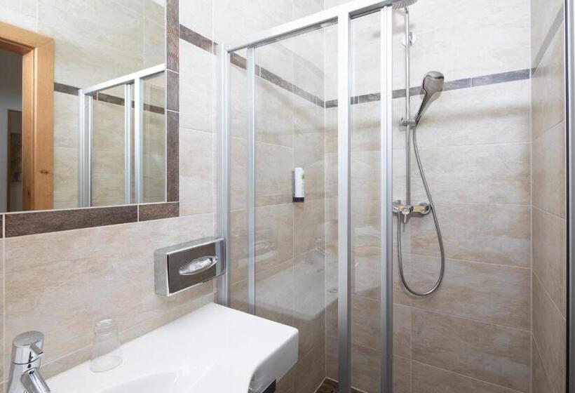 Номер Economy Индивидуальный, Alphof Alpbach