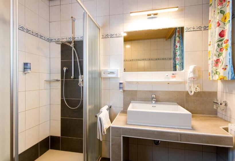 חדר סטנדרט, Gasthof Zum Schwanen