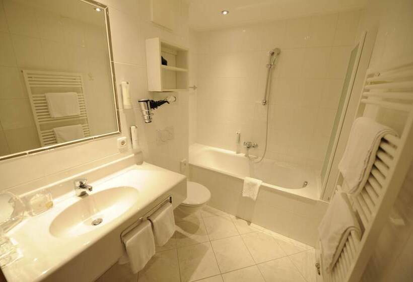 小型套房, Saalbacher Hof