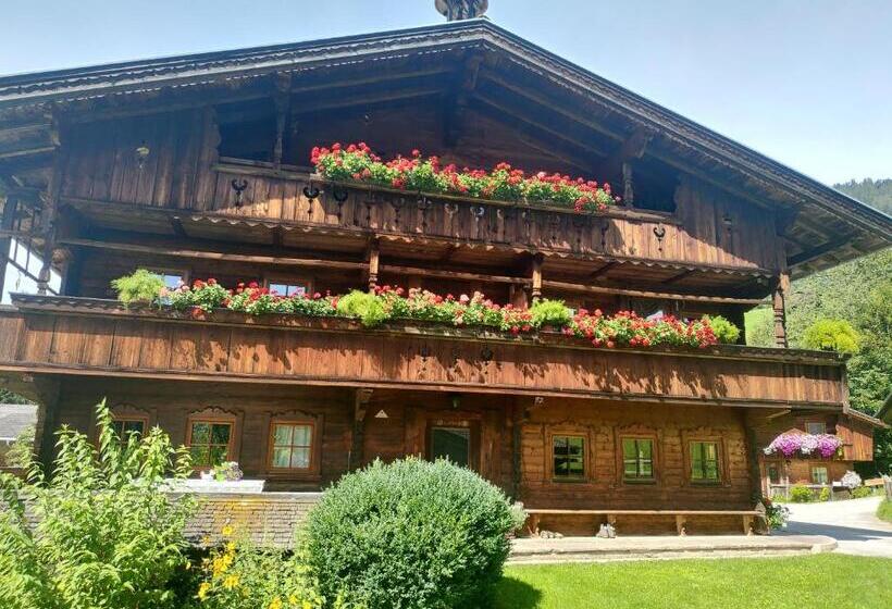 Апартаменты 1 Спальня, Wörglerhof