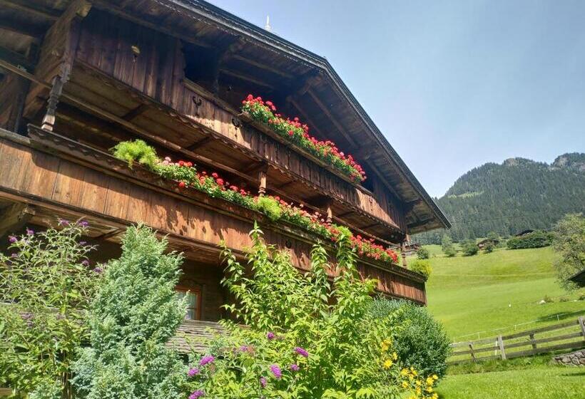 Апартаменты 1 Спальня, Wörglerhof