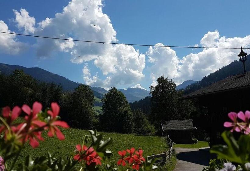 Апартаменты 1 Спальня, Wörglerhof