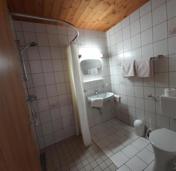 Номер Стандарт с Балконом, Neubauhof