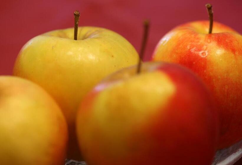 דירת חדר, Gästehaus Ortner