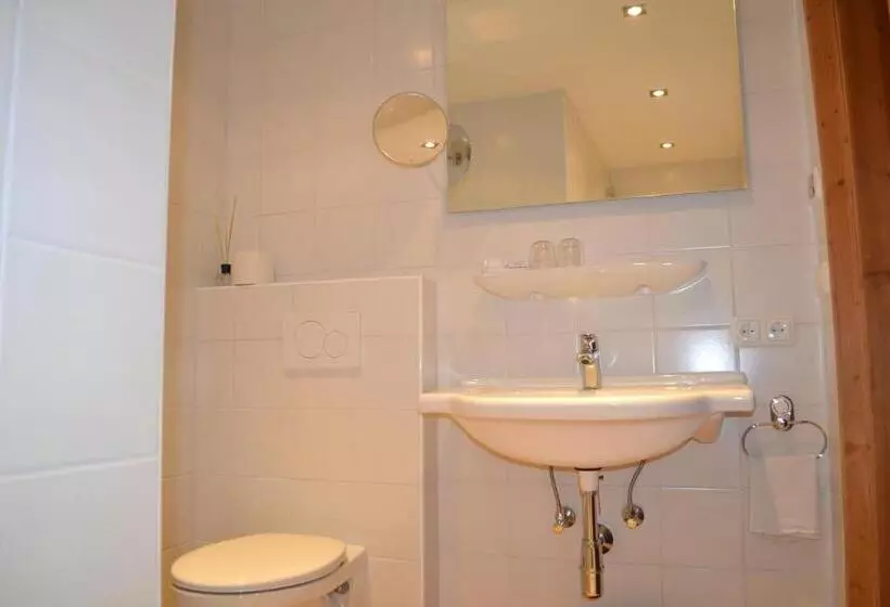 اتاق استاندارد یک نفره, Pension Landhaus Gasteiger