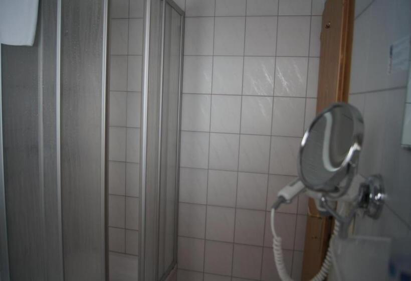 חדר סטנדרט יחיד, Alpin Panoramahotel Lärchenhof