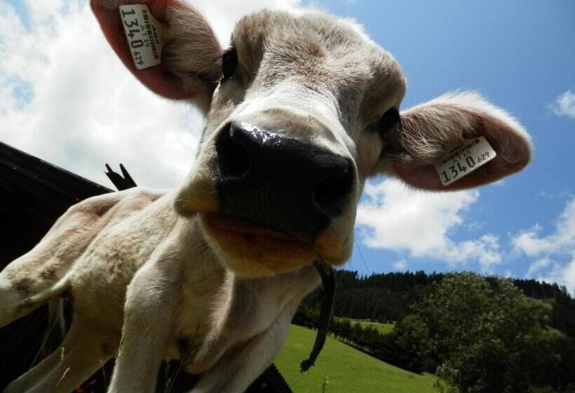 침실 1개 아파트, Apartments Biobauernhof Lercher