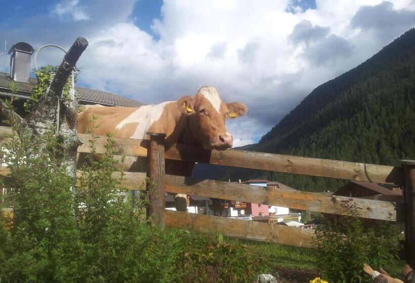 침실 1개 아파트, Apartments Biobauernhof Lercher