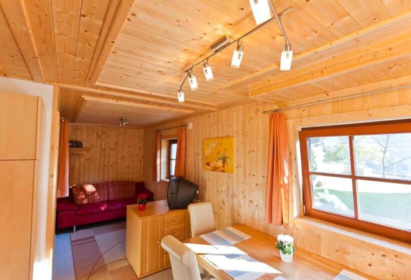 شقة غرفة نوم واحدة بالطابق الأرضى, Bodnerhof