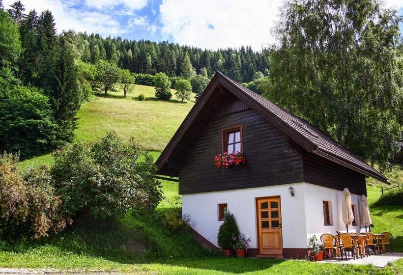 شقة غرفة نوم واحدة بالطابق الأرضى, Bodnerhof