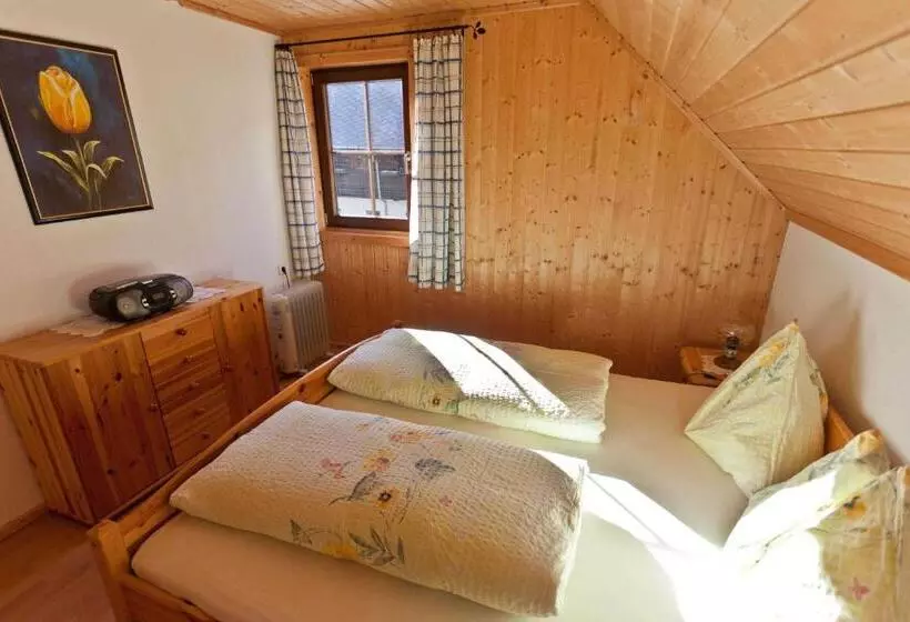 Appartamento 1 Camera da Letto, Bodnerhof