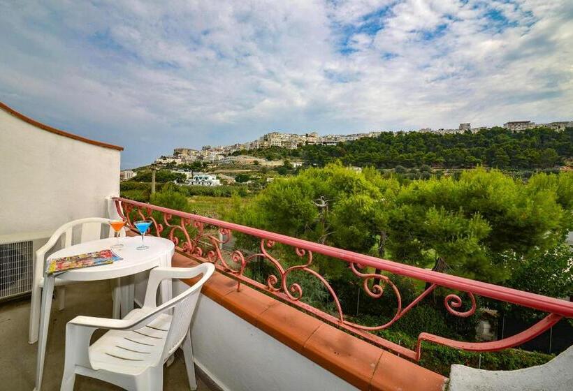 غرفة قياسية, D'amato