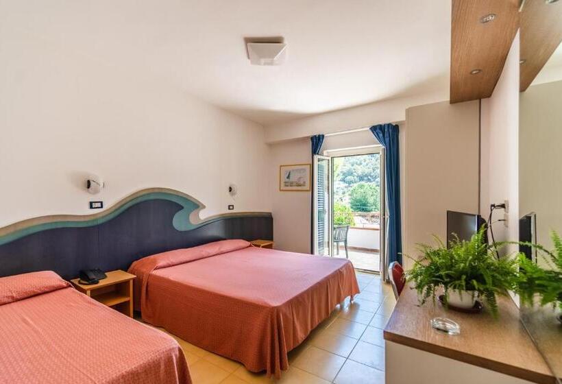 غرفة قياسية رباعية, D'amato