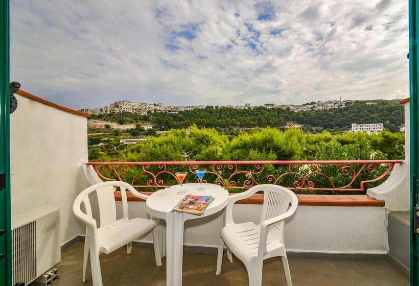 غرفة قياسية رباعية, D'amato