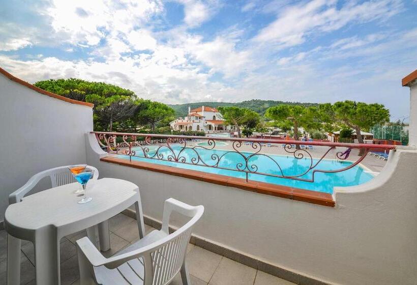 غرفة سوبيريور ثلاثية, D'amato