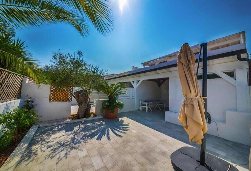 جناح جونيور, D'amato