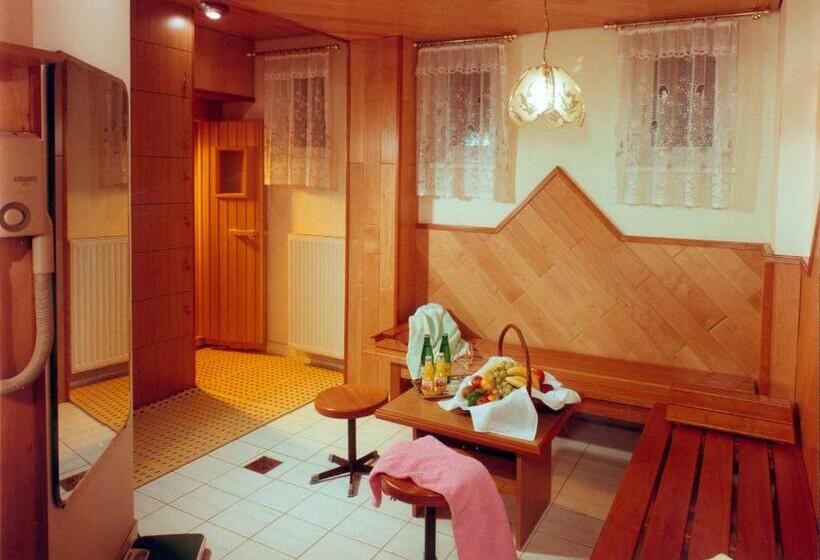 חדר סטנדרט יחיד, Hallerhof