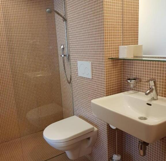 اتاق استاندارد, Hinteregger