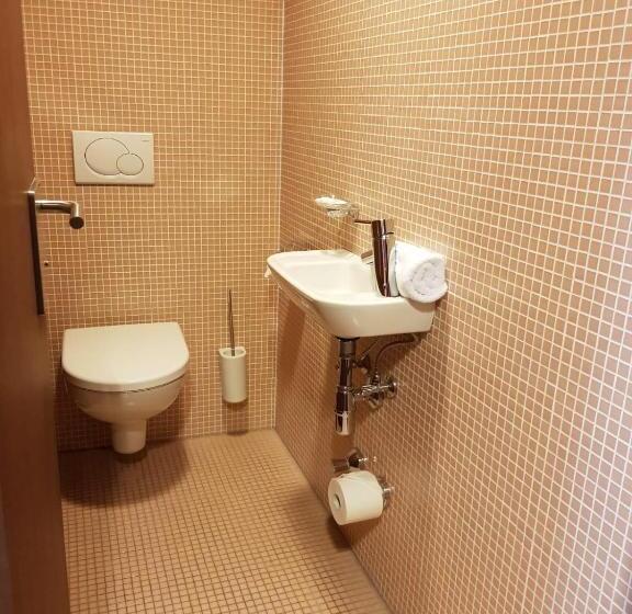 آپارتمان 1 خوابه با تراس, Hinteregger