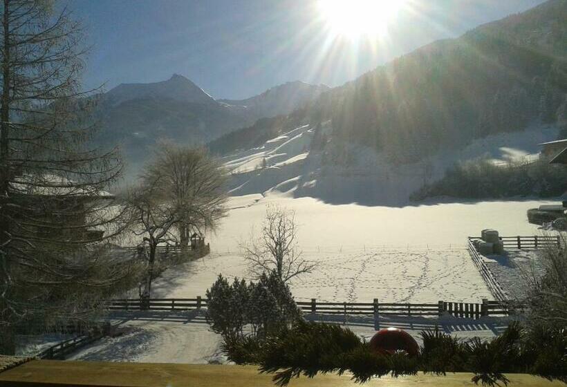 1 Bedroom Apartment Mountain View, Zittrauerhof Urlaub Am Bauernhof Gastein