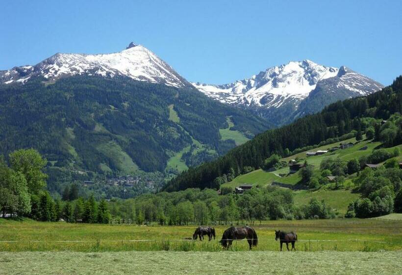 1 Bedroom Apartment Mountain View, Zittrauerhof Urlaub Am Bauernhof Gastein
