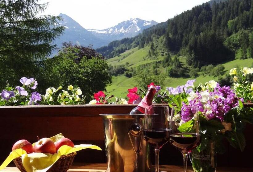 1 Bedroom Apartment Mountain View, Zittrauerhof Urlaub Am Bauernhof Gastein