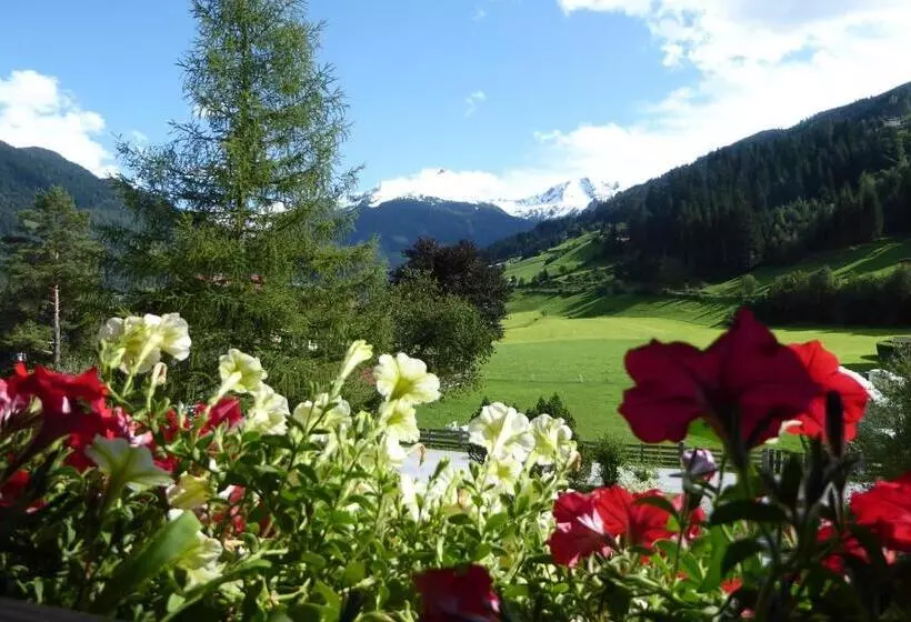 1 Bedroom Apartment Mountain View, Zittrauerhof   Urlaub Am Bauernhof Gastein