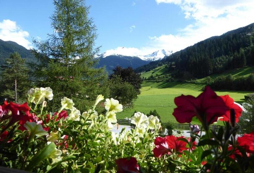 带1个卧室带观景的公寓, Zittrauerhof Urlaub Am Bauernhof Gastein