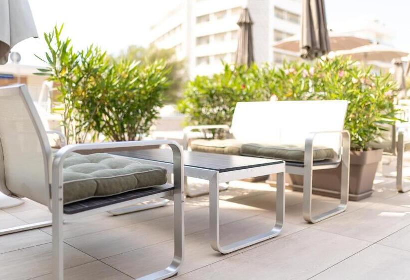 חדר סופריור לשלושה, Nember