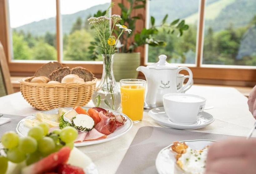 スタンダードルーム, Gasthof Kleefeld