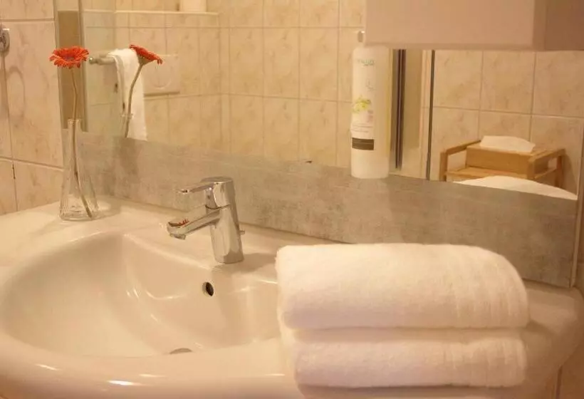 デラックスルーム, Pension Lammerhof