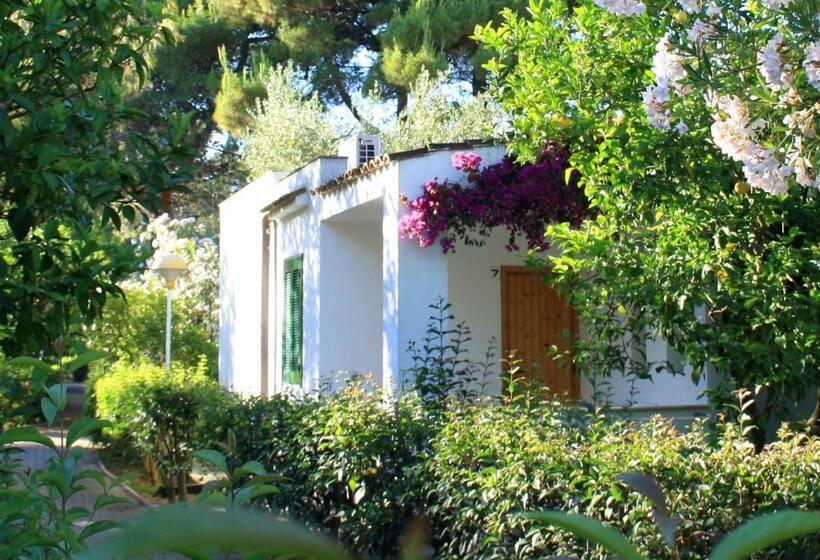 Apartamento 1 Dormitório, Residence Delfino