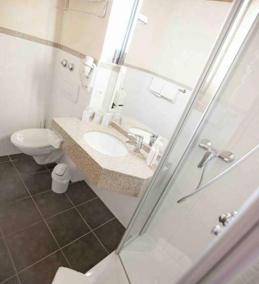 스탠다드 싱글 룸, Alter Hof