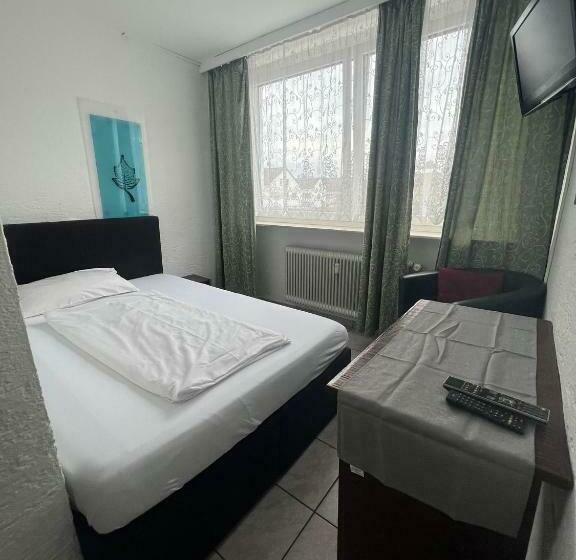 חדר סטנדרט יחיד, Main Taunus