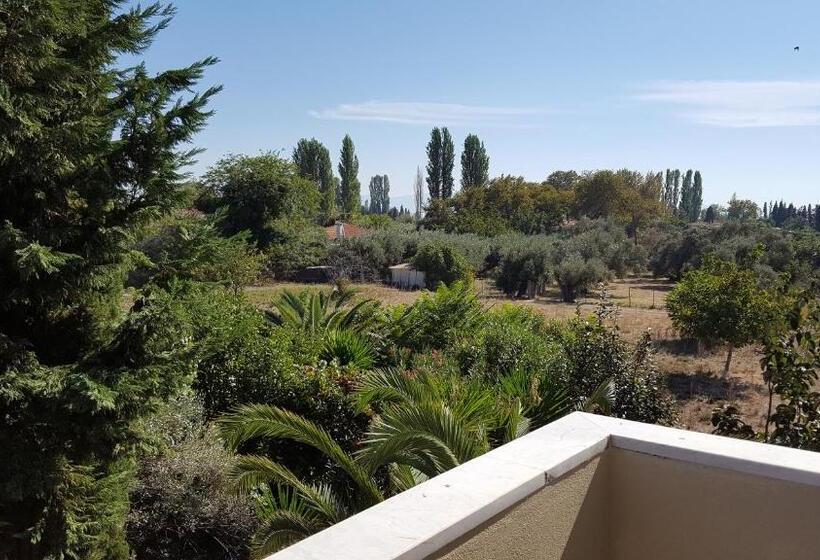 スタンダードスタジオ, Palirria Hotel & Studios